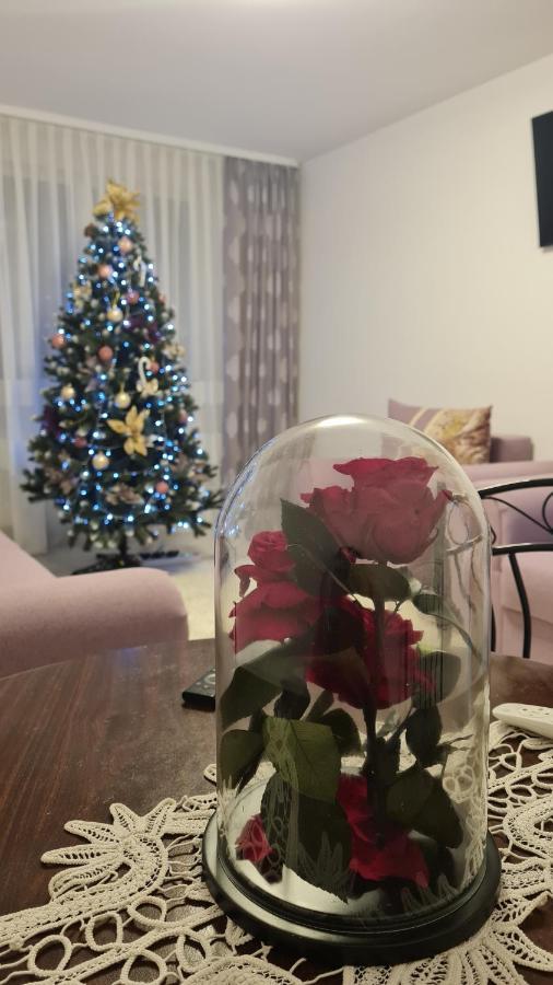 Apartament Violeta Gura Humorului Buitenkant foto